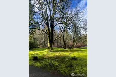 6817 79th Street W, Lakewood, WA 98499 - Photo 40