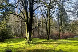 6817 79th St W, Lakewood, WA 98499 - Photo 40