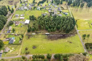 18647 Joselyn Street SW, Rochester, WA 98579 - Photo 38