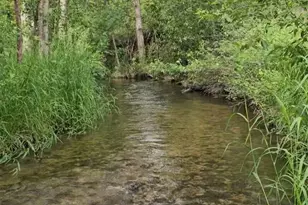 2367 Morse Wy, Chewelah, WA 99109 - Photo 24