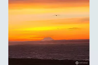 401 Westport View Street SW #502, Ocean Shores, WA 98569 - Photo 2
