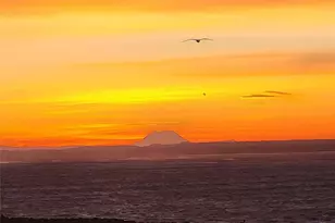 401 Westport Vw St SW, Ocean Shores, WA 98569 - Photo 2