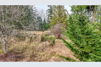 25414 48th Avenue E, Graham, WA 98338 - Photo 20