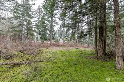 25414 48th Avenue E, Graham, WA 98338 - Photo 16