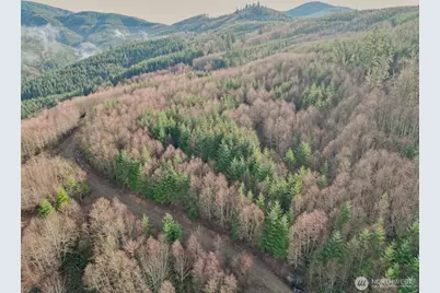 0 Remington Road, Kelso, WA 98626 - Photo 12