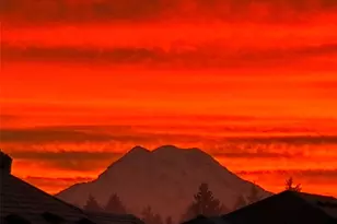 3126 Arrowroot Loop SE, Lacey, WA 98513 - Photo 18