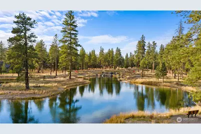 3670 Suncadia Trail, Cle Elum, WA 98922 - Photo 30