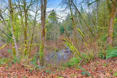 25122 Florence Acres Road, Monroe, WA 98272 - Photo 28