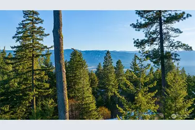 47 Forest Ridge Dr (Lot #47), Cle Elum, WA 98922 - Photo 8