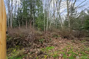 314 Dungeness Meadows, Sequim, WA 98382 - Photo 26