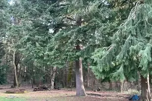 15922 Agate St SE, Yelm, WA 98597 - Photo 38