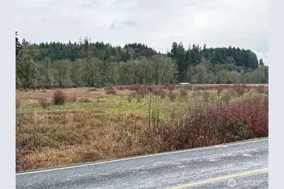 218 Lincoln Creek Road, Centralia, WA 98531 - Photo 1