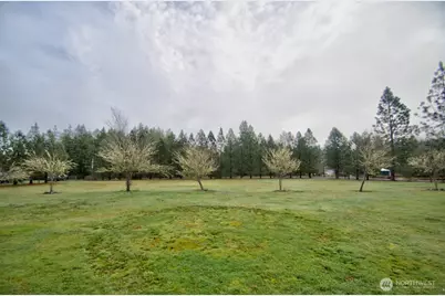 164 Beville Road, Boistfort, WA 98532 - Photo 32