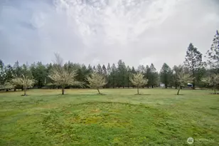 164 Beville Rd, Boistfort, WA 98532 - Photo 32