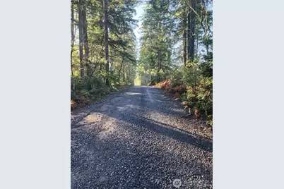 91 E Tepee Lane, Belfair, WA 98528 - Photo 6