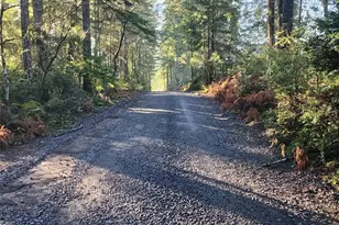 91 E Tepee Ln, Belfair, WA 98528 - Photo 6