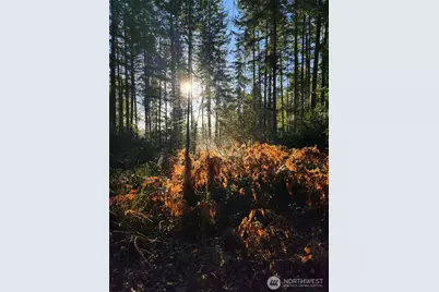 91 E Tepee Lane, Belfair, WA 98528 - Photo 1