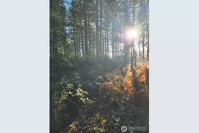 91 E Tepee Lane, Belfair, WA 98528 - Photo 2