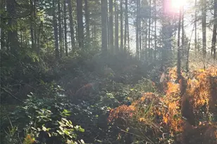 91 E Tepee Ln, Belfair, WA 98528 - Photo 2