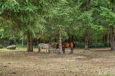 14628 SE Vail Cut Off Road, Rainier, WA 98576 - Photo 34