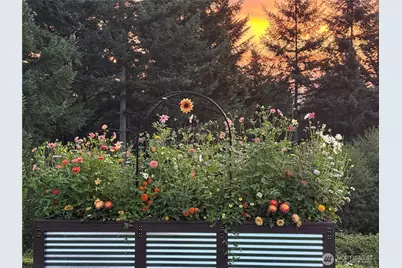 0 Seminary Hill Road, Centralia, WA 98531 - Photo 8