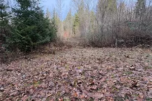 32950 NE 70th St, Carnation, WA 98014 - Photo 4