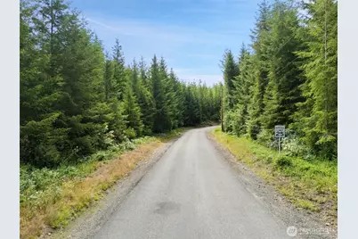 0 Lot B W Satsop Road E, Elma, WA 98541 - Photo 4