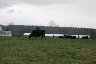 8428 NE 178th St, Bothell, WA 98011 - Photo 24