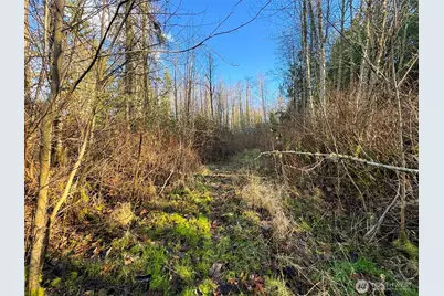 2495 Chicken Coop Road, Sequim, WA 98382 - Photo 36