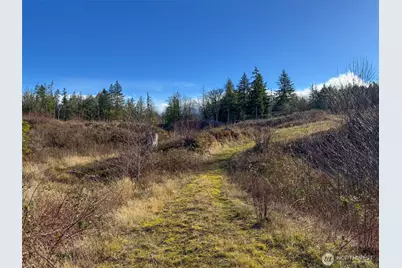 2495 Chicken Coop Road, Sequim, WA 98382 - Photo 28