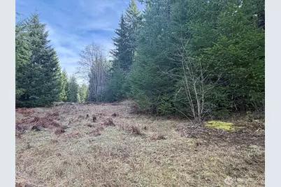 115 Ridge Lane, Packwood, WA 98361 - Photo 14
