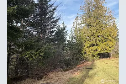 115 Ridge Lane, Packwood, WA 98361 - Photo 16