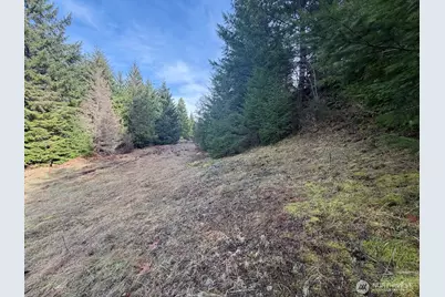 115 Ridge Lane, Packwood, WA 98361 - Photo 12