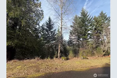 115 Ridge Lane, Packwood, WA 98361 - Photo 24
