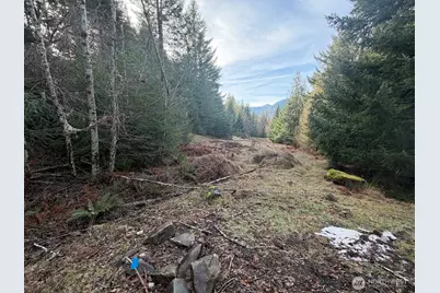 115 Ridge Lane, Packwood, WA 98361 - Photo 8