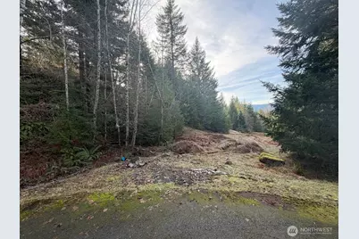 115 Ridge Lane, Packwood, WA 98361 - Photo 4