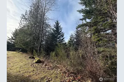 115 Ridge Lane, Packwood, WA 98361 - Photo 18