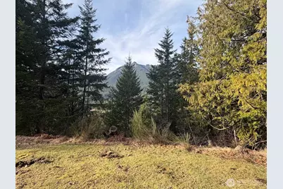 115 Ridge Lane, Packwood, WA 98361 - Photo 26