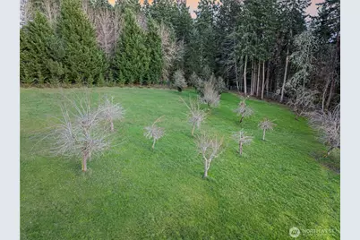 17510 88th Street SW, Longbranch, WA 98351 - Photo 38