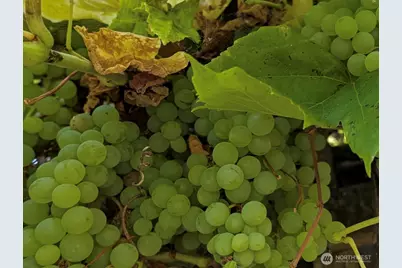 24 199th Place SE, Bothell, WA 98012 - Photo 30