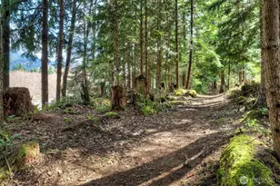 62307 Meadow Way E, Greenwater, WA 98022 - Photo 38