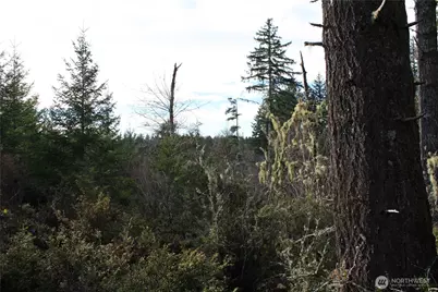 3470 N Mission Road, Bremerton, WA 98312 - Photo 10