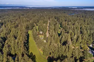 9118 130th Ave Ct, Anderson Island, WA 98303 - Photo 18