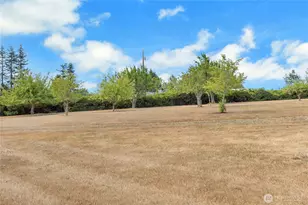 119 Sommerville Rd, Chehalis, WA 98532 - Photo 38