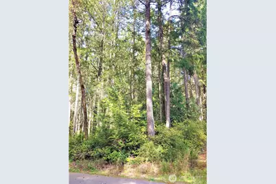 11107 122nd Avenue Ct, Anderson Island, WA 98303 - Photo 1