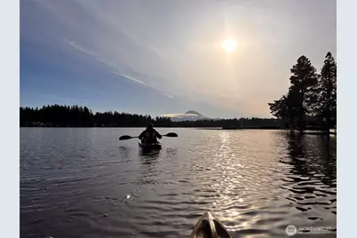 1111 Lake Sawyer Island, Black Diamond, WA 98010 - Photo 8