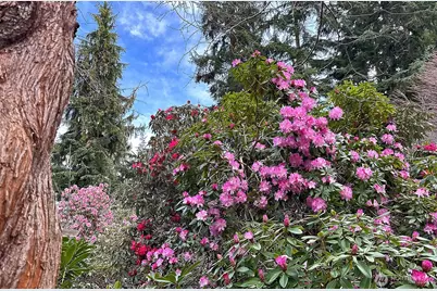 2970 Smugglers Cove Road, Greenbank, WA 98253 - Photo 34