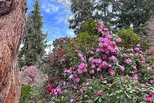 2970 Smugglers Cove Rd, Greenbank, WA 98253 - Photo 34