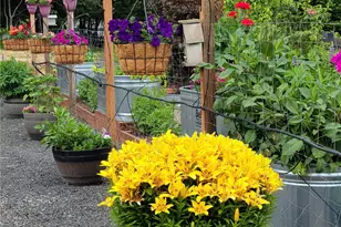 222 Volcano Ln, Chehalis, WA 98532 - Photo 40