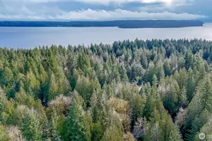 713 E Pointes Dr W, Shelton, WA 98584 - Photo 36